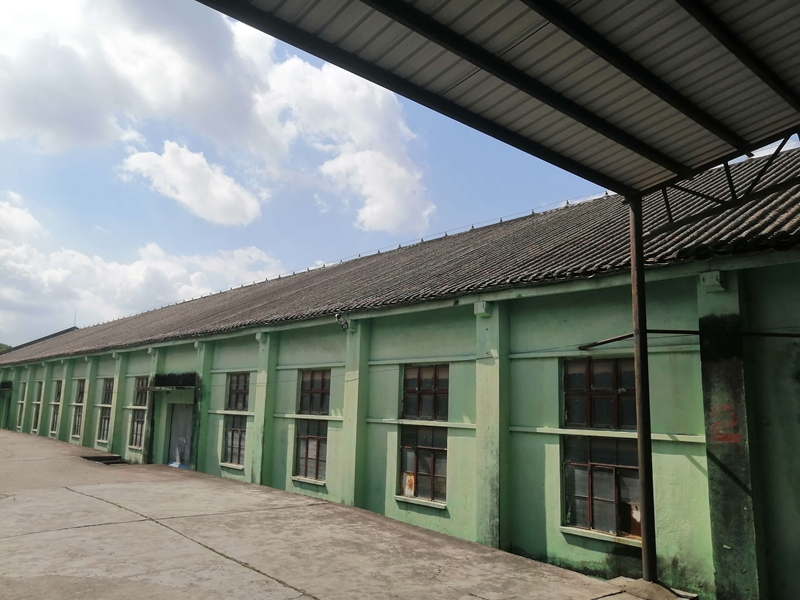 25.園區(qū)輔路1.jpg