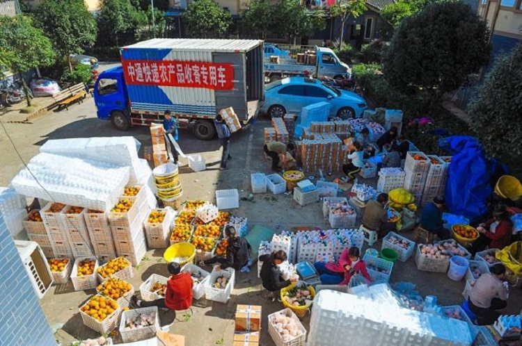 廣州食品倉庫