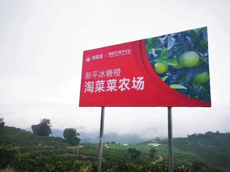 淘菜菜農(nóng)場